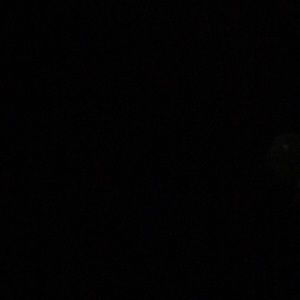 Meet your Posher, Demiya